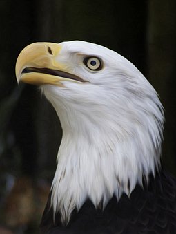 5766