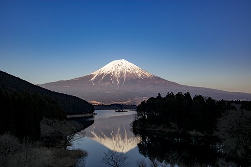 3556
