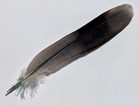 7273