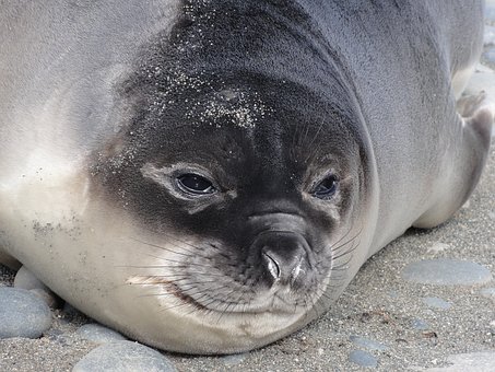 21608
