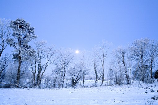 127412