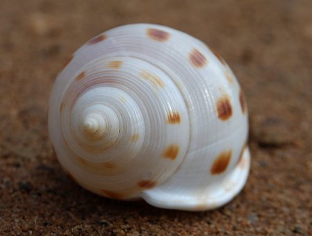 154044