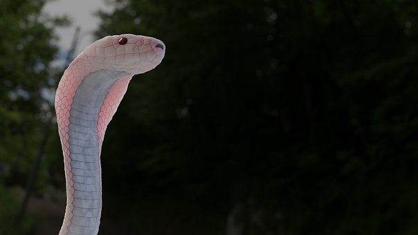 119201