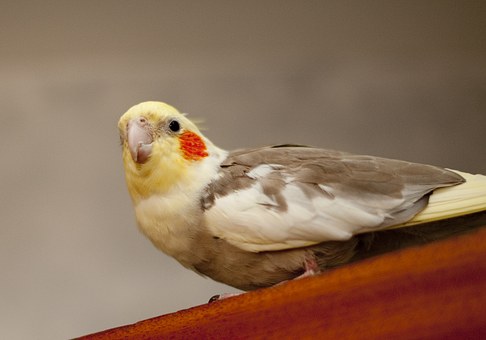 274374