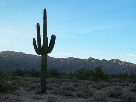 2998