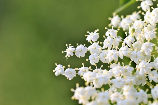 58618