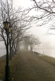 121919