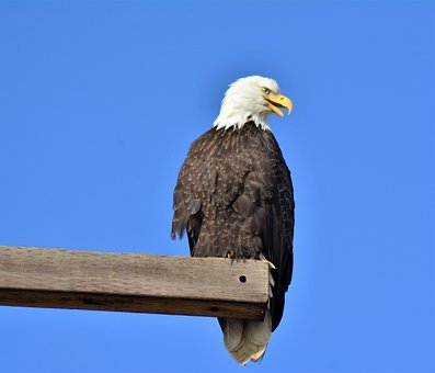 268601