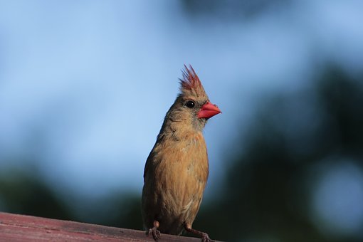 12907