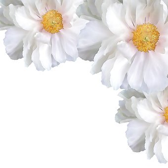 96845