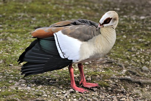 94847