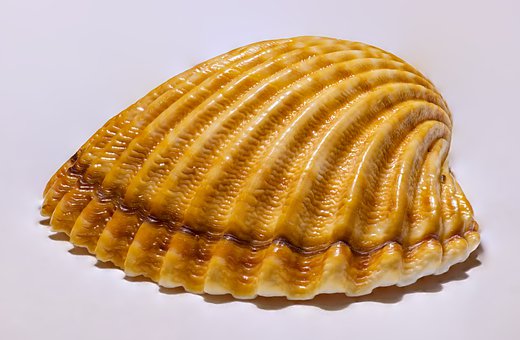 156804
