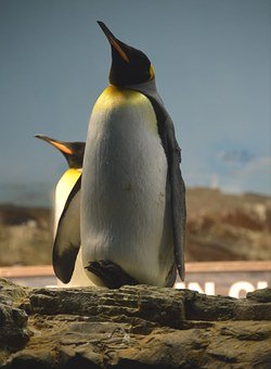 232209