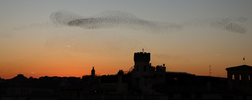 205314