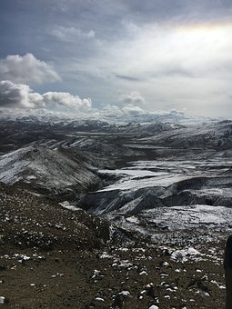 316598