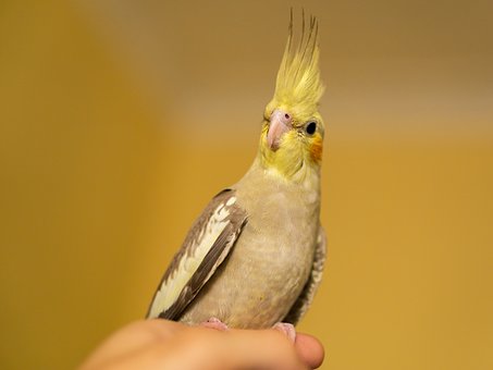 110758