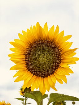 70465