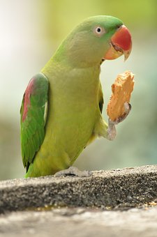 171680