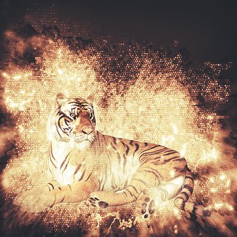 117657