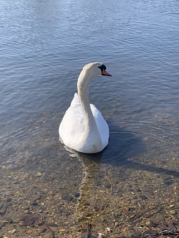 26921