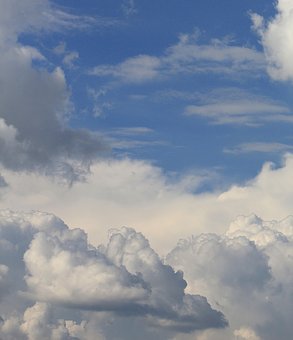 116215