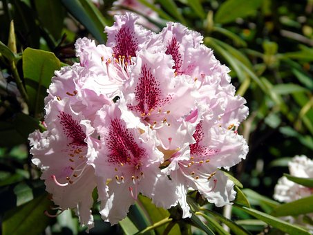 200925