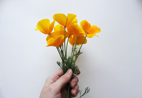 55465