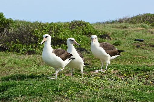 25749