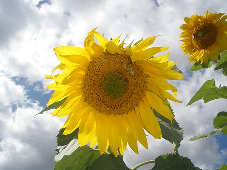 37237