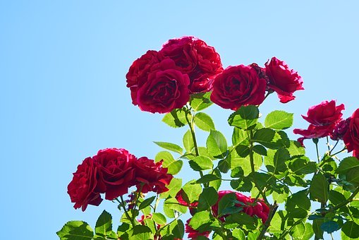 185064