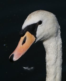 283151