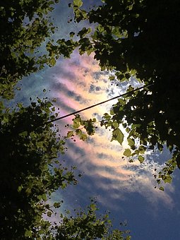 79358