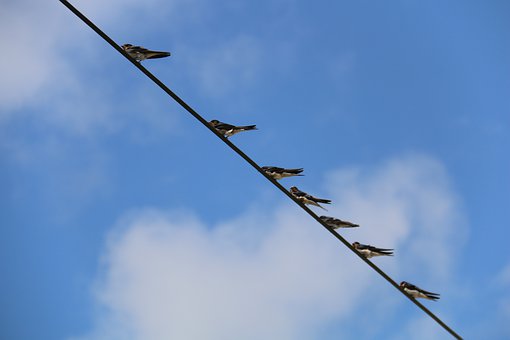11041