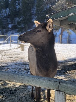 252228