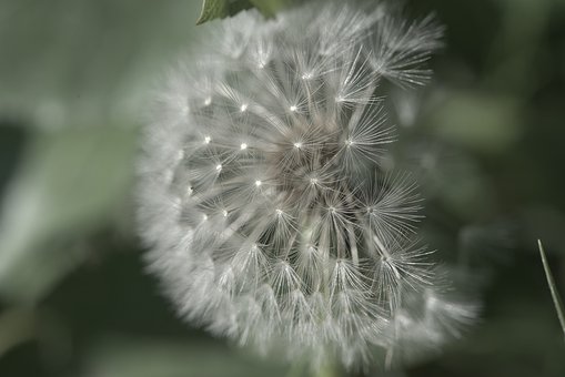 53754