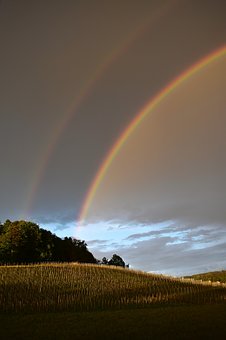 335254