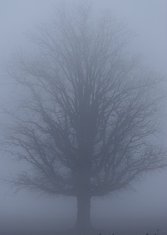 136673