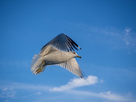 120832