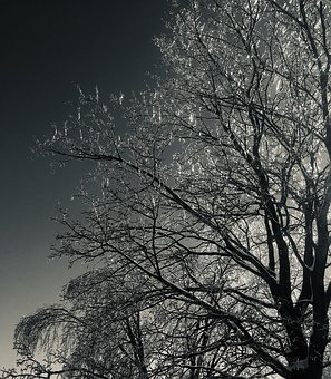 117049