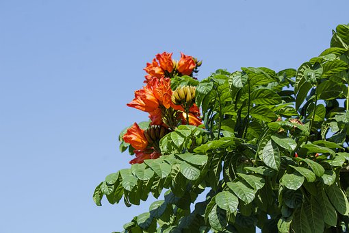 143051