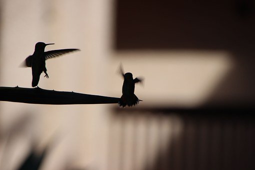 158051
