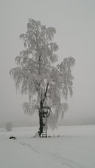 28718