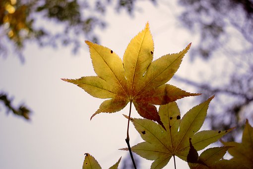 181066