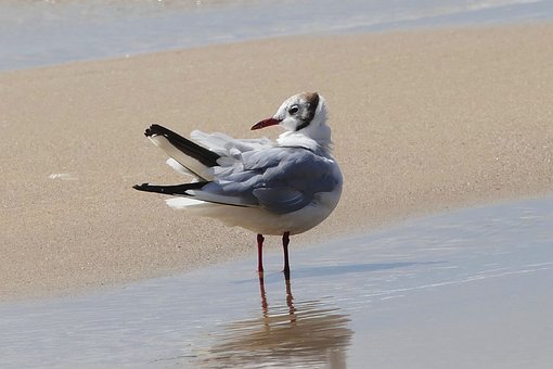 268790