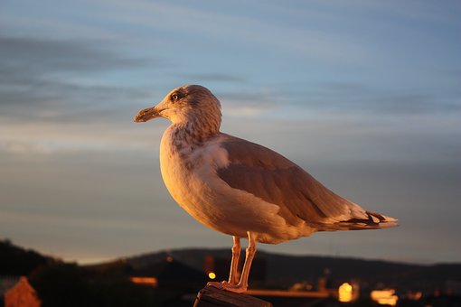 128151