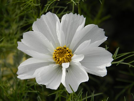 160579