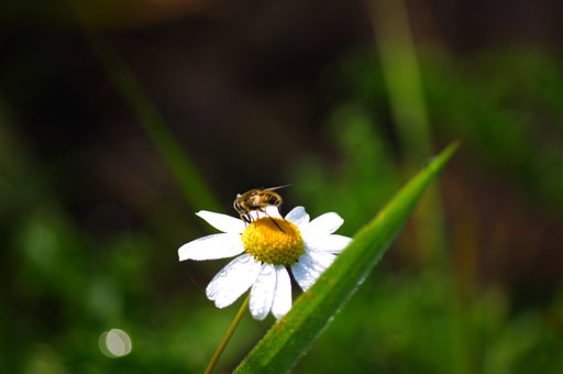 130544
