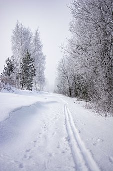 29188