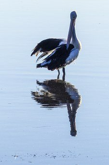 77461