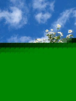 145583